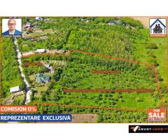 Anunturi Imobiliare Casa renovata 141mp + Teren 10.000mp | Podenii Vechi - PH