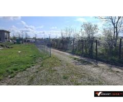 Anunturi Imobiliare Vand Lot casa  1246 mp  Balotesti Saftica str Ciocarliei utilitati