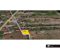 Anunturi Imobiliare Vand Lot casa  1246 mp  Balotesti Saftica str Ciocarliei utilitati