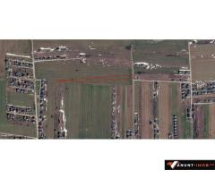 Anunturi Imobiliare Dragomirești Vale 10.000 mp,asfalt,utilitati