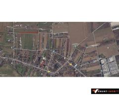 Anunturi Imobiliare Dragomirești Vale 10.000 mp,asfalt,utilitati
