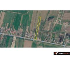 Anunturi Imobiliare Teren intravilan Snagov / Tancabesti / 6.296 mp / comision 0%