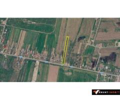 Anunturi Imobiliare Teren intravilan Snagov / Tancabesti / 6.296 mp / comision 0%