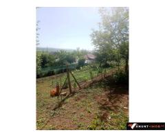 Anunturi Imobiliare Casă de vânzare + teren 1100 mp Brodoc - Vaslui