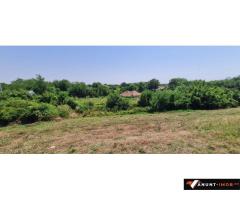 Anunturi Imobiliare Teren intravilan Lac Dridu, 924 mp