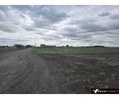 Anunturi Imobiliare teren de vanzare Ovidiu