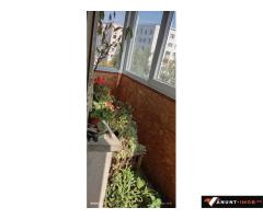 Anunturi Imobiliare Mihai Bravu Kaufland Racari